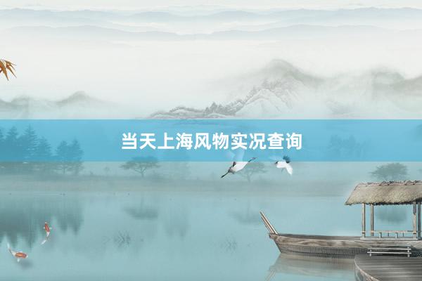 当天上海风物实况查询