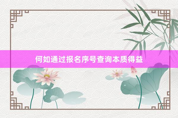 何如通过报名序号查询本质得益