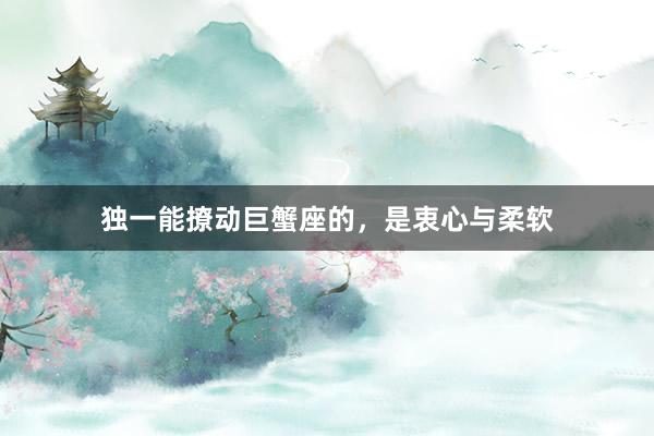 独一能撩动巨蟹座的，是衷心与柔软